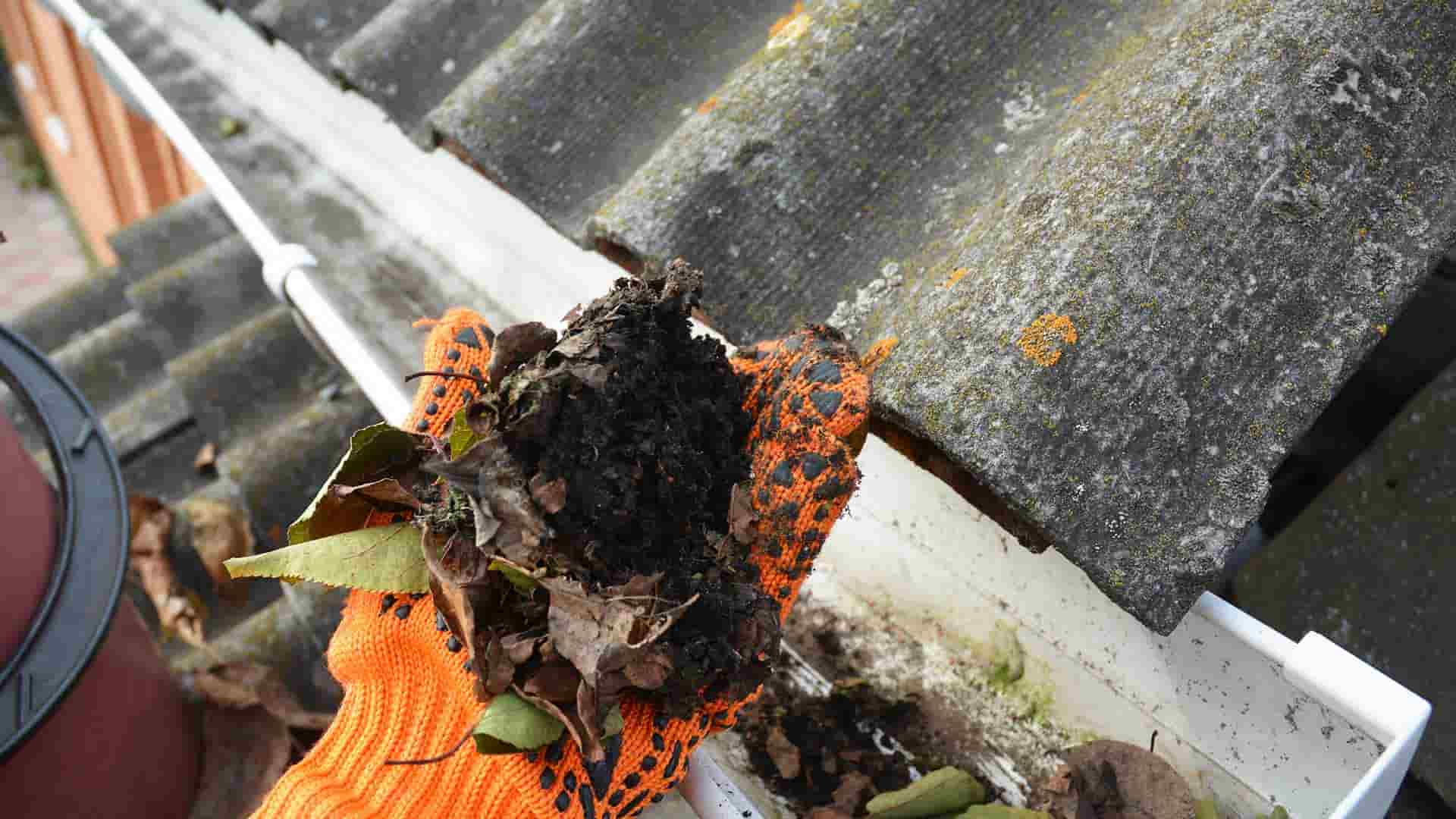 The Benefits Of Gutter Cleaning